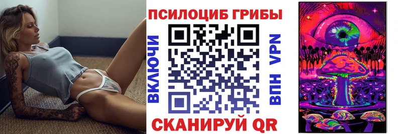 что такое   Черепаново  Псилоцибиновые грибы Psilocybe 